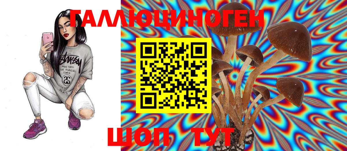 Псилоцибиновые грибы Psilocybe Сергиев Посад