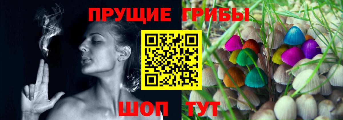 Галлюциногенные грибы GOLDEN TEACHER  Вход с VPN  Сергиев Посад 